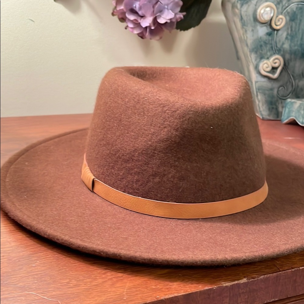 Classic Brown Fedora Hat